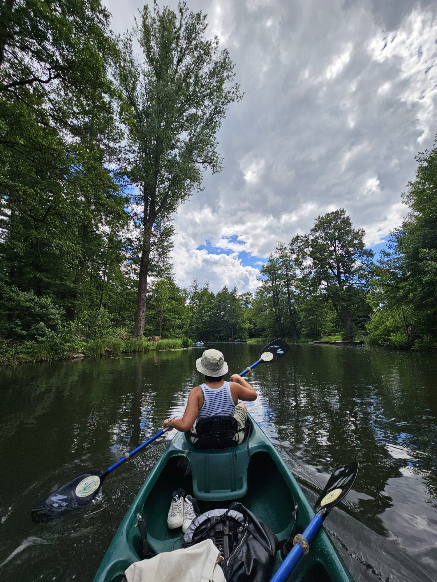 Kayaking down a forested river