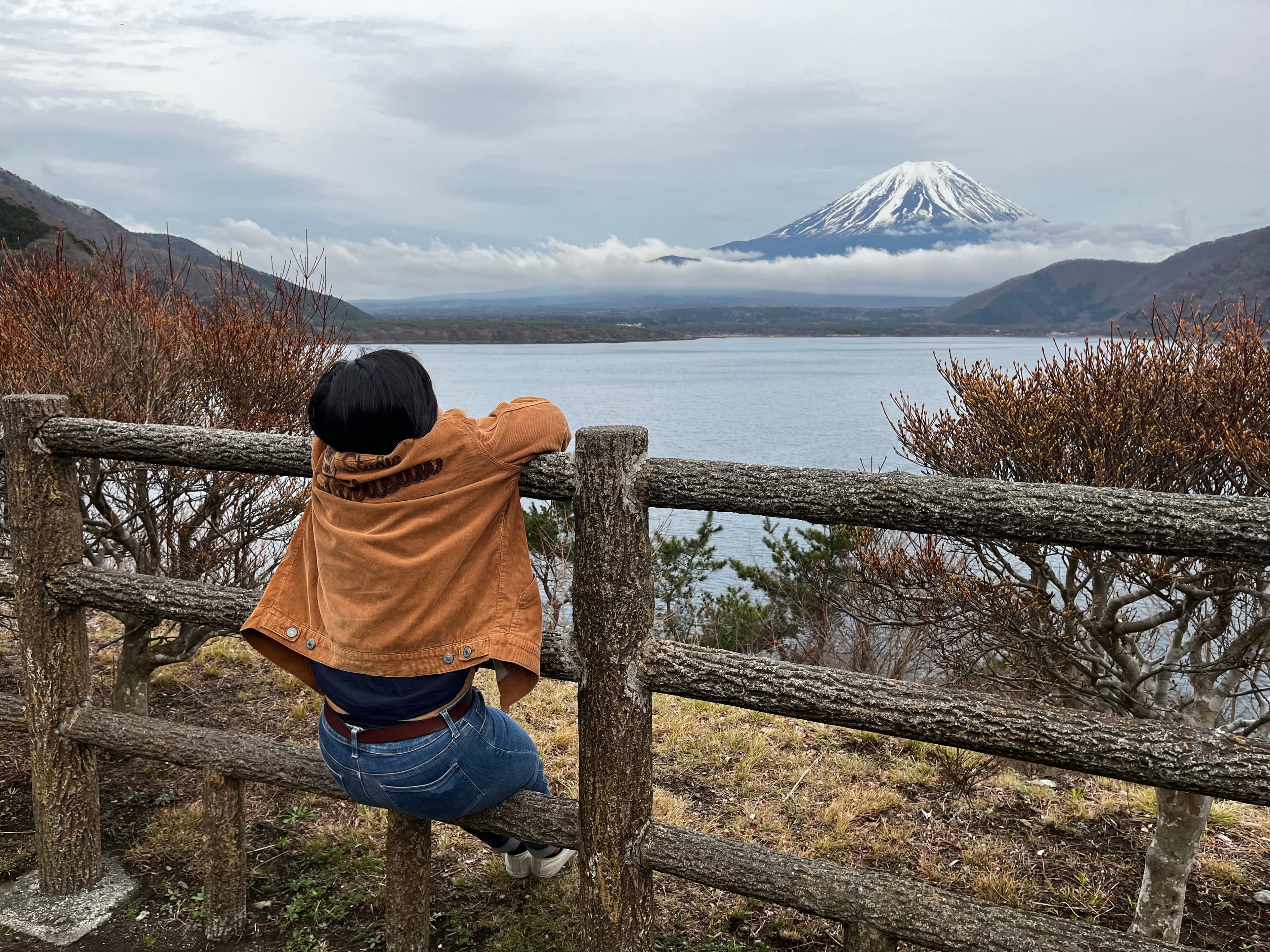 Looking out over a lake toward Mount Fuji
